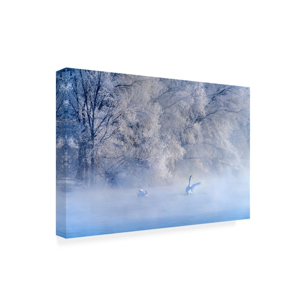 Hua Zhu 'Swan Lake Hoarfrost' Canvas Art,30x47